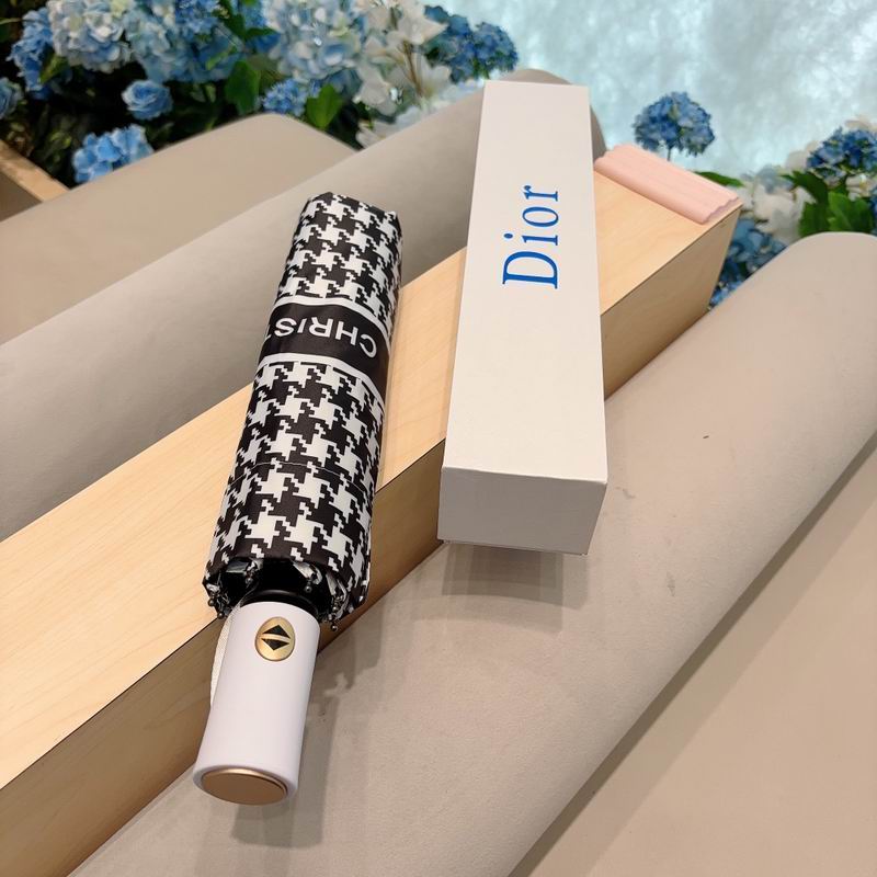 Dior Umbrella (12)